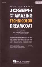 Joseph And The Amazing TECHNICOLOR Dreamcoat (SA)